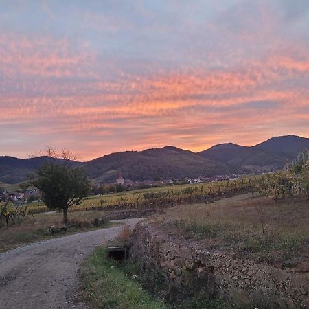 Naova Cosy Studio Kaysersberg-Vignoble ภายนอก รูปภาพ