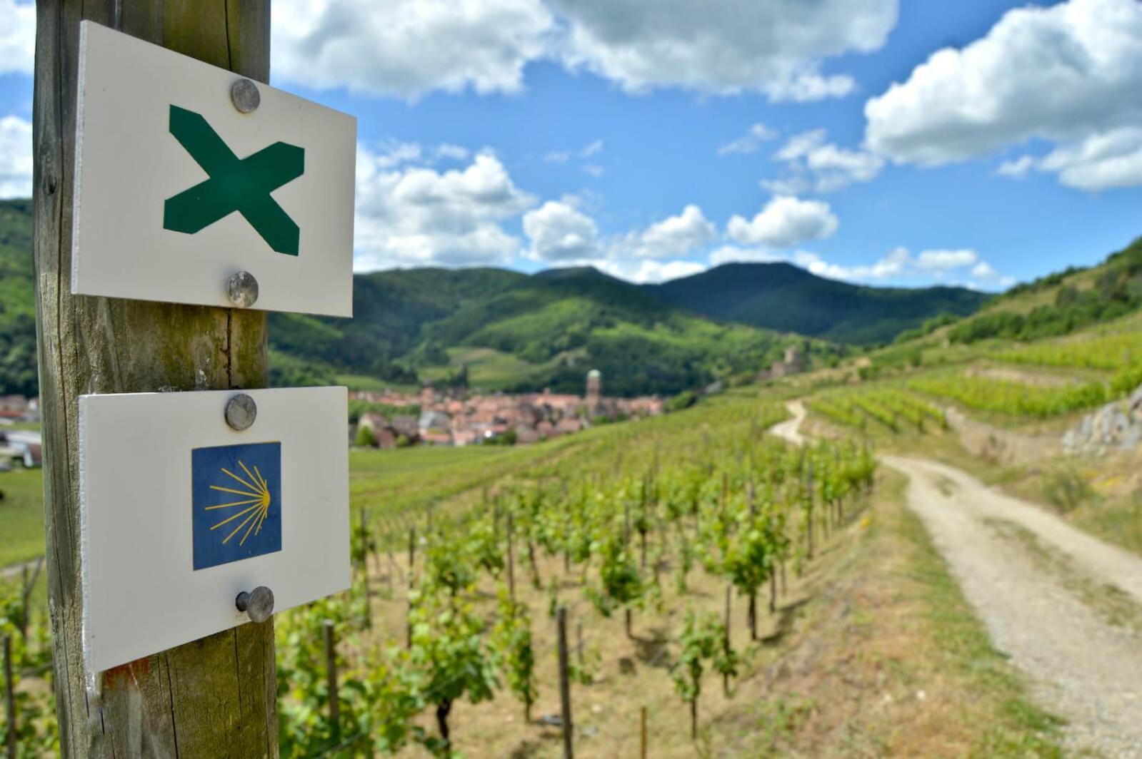 Naova Cosy Studio Kaysersberg-Vignoble ภายนอก รูปภาพ